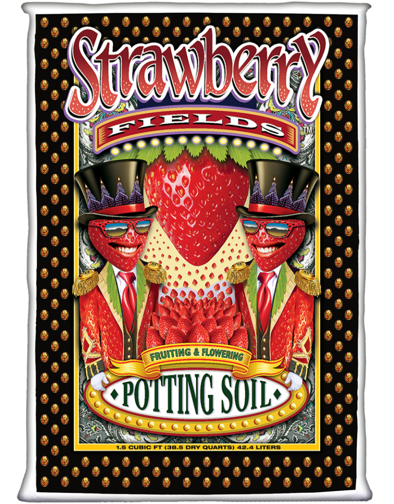 strawberryfields-1.5cf_2019-768x983.png