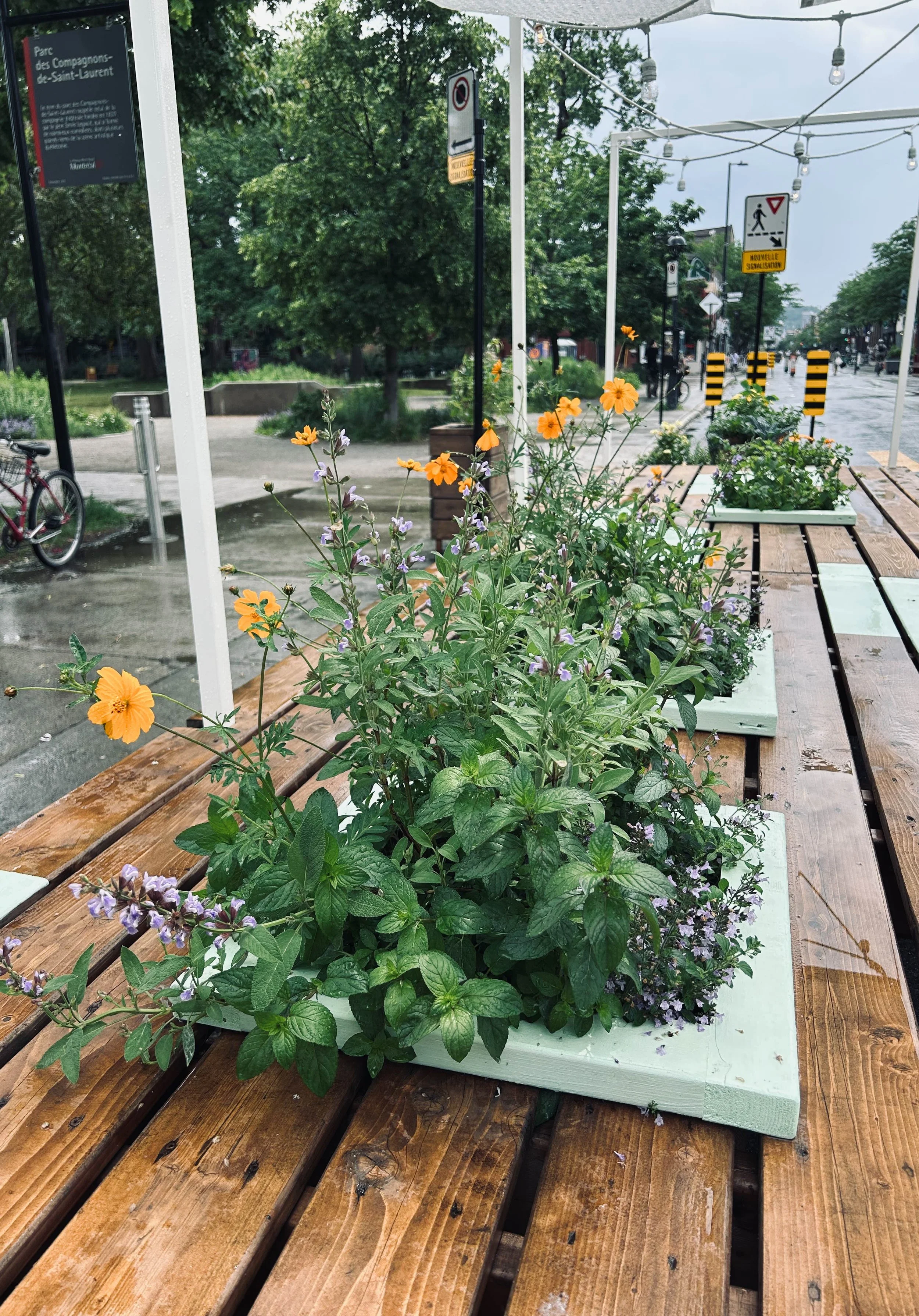 Avenue du Mont-Royal