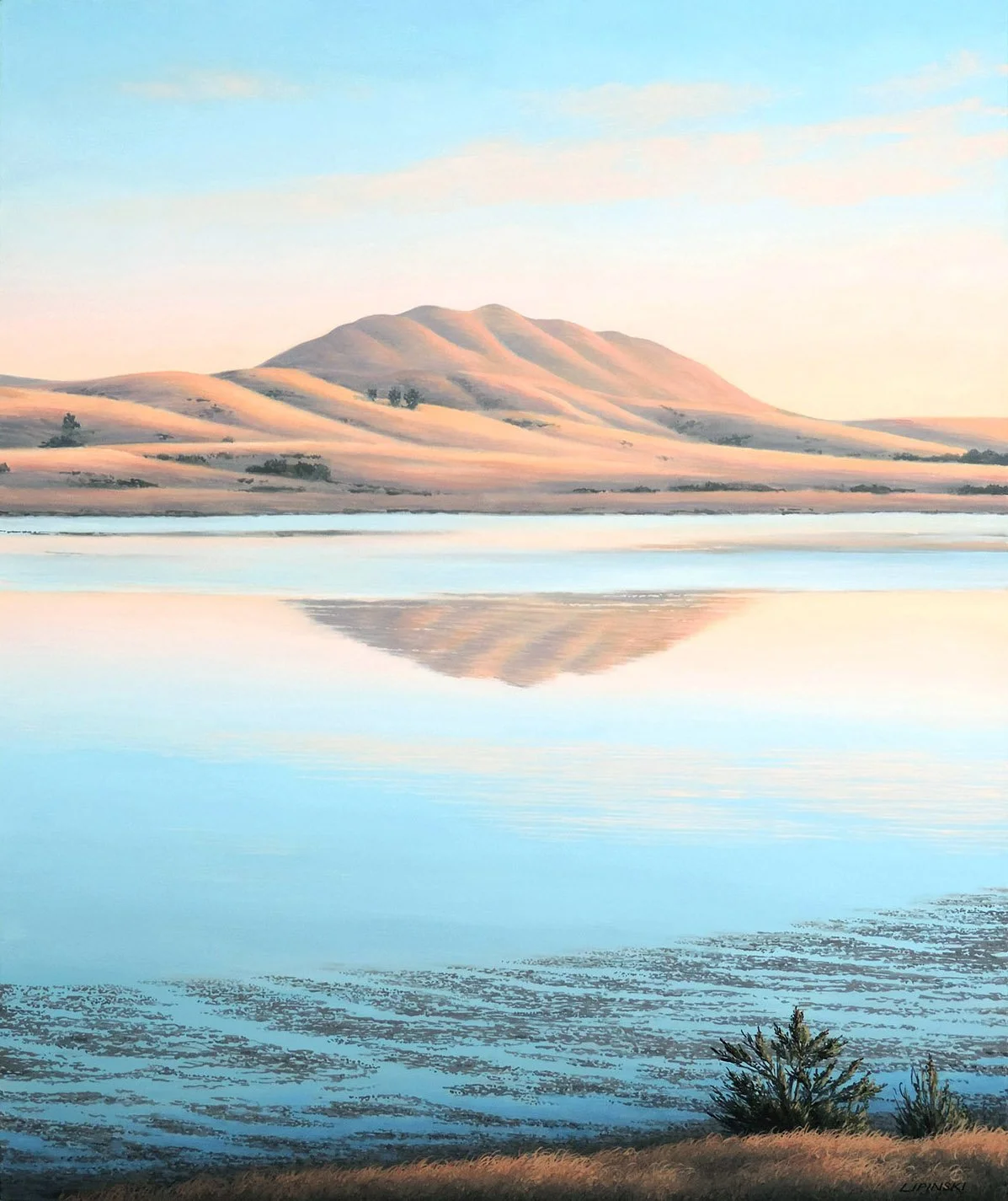 TomalesBay_36x30_2025.jpg