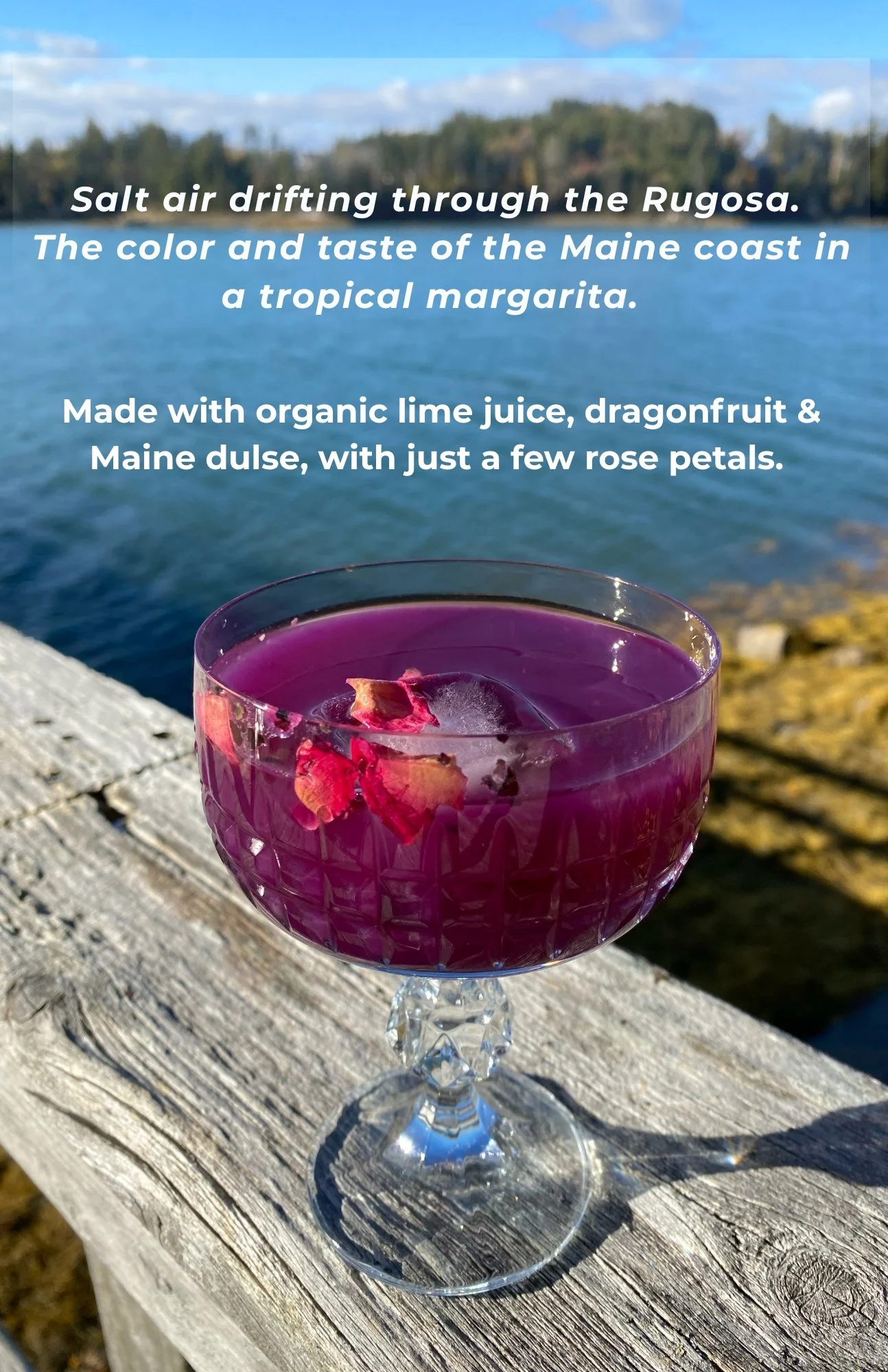 Dulse A Rita Picture with Text.jpg