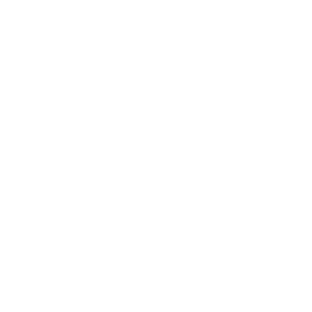 2 - Flat-Fee Comprehensive Financial Plan