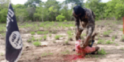 ISIS Naba 523 Showcases Multi Theater Campaign in Nigeria, Somalia, Mozambique, DRC, Syria, and Pakistan