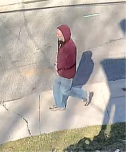 White Plains Explosives Case: Authorities Find 25+ Suspected IEDs After Weeks of “Booms” on Residential Street