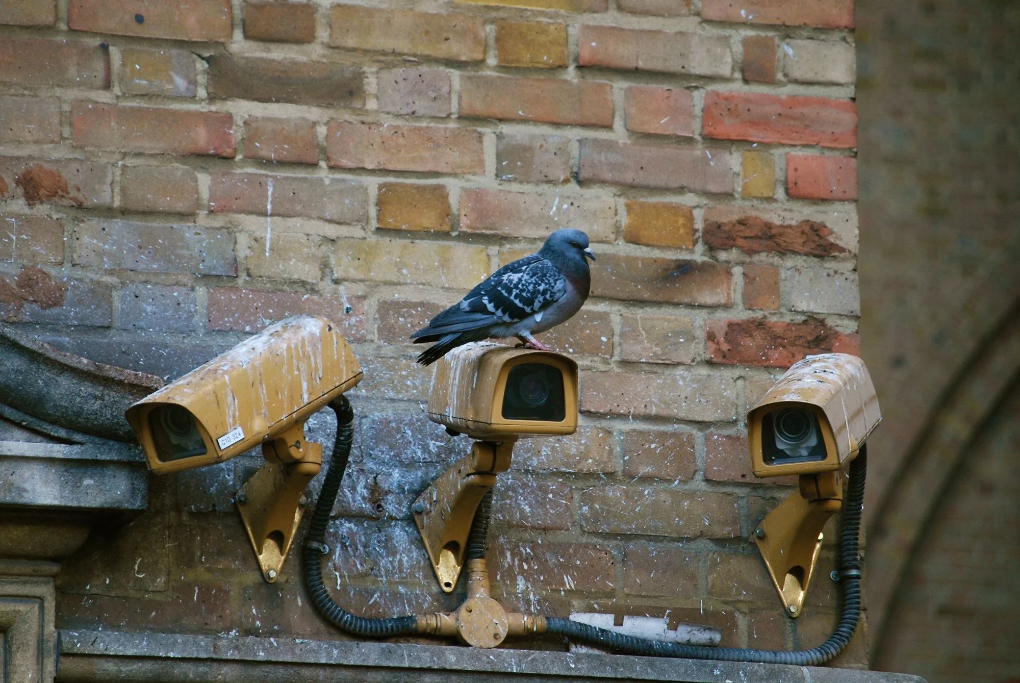Anarchist Campaign Promotes Flock Camera Sabotage Nationwide