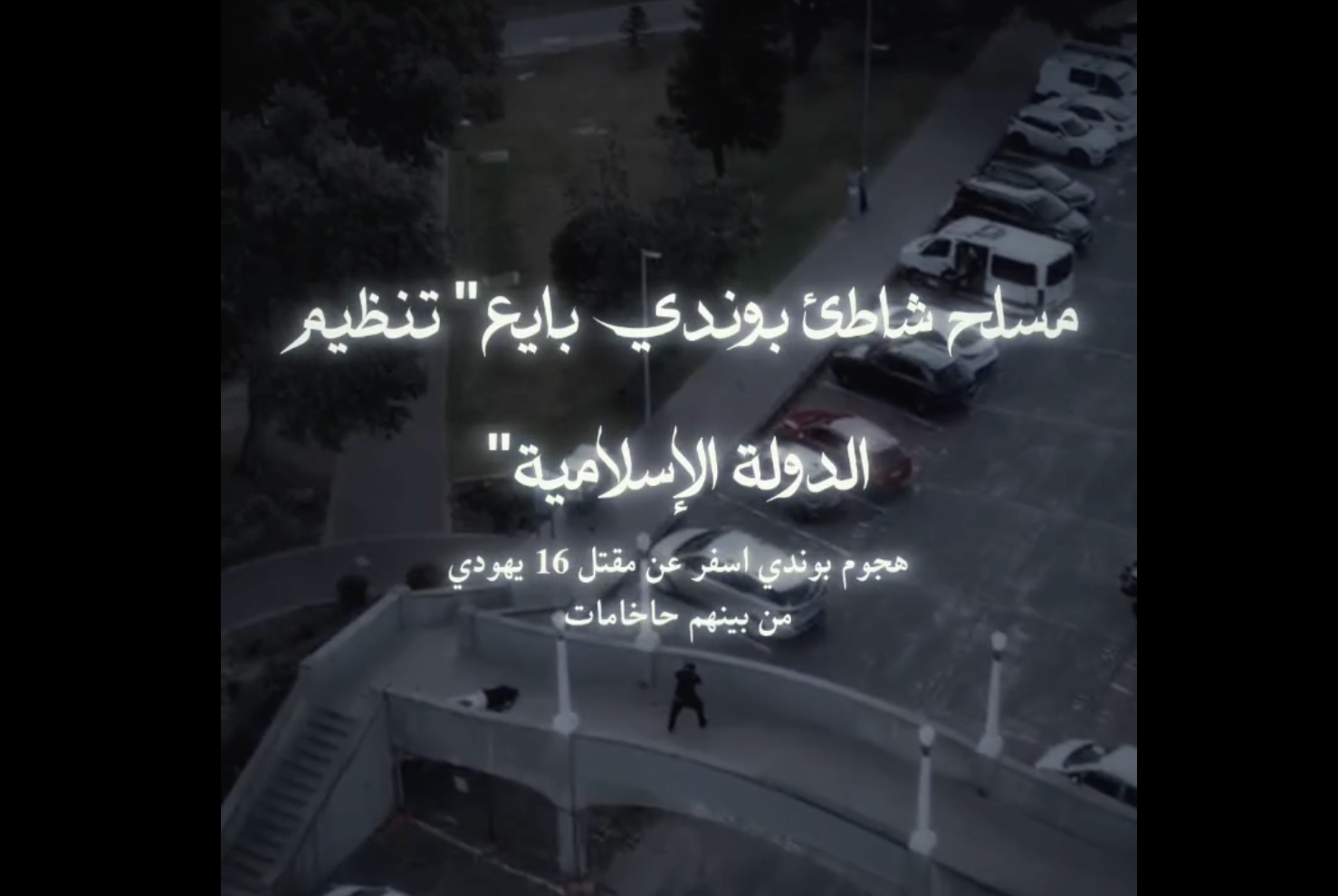 ISIS Forum Members Share Compilation Videos and Praise for Bondi Beach Terrorists