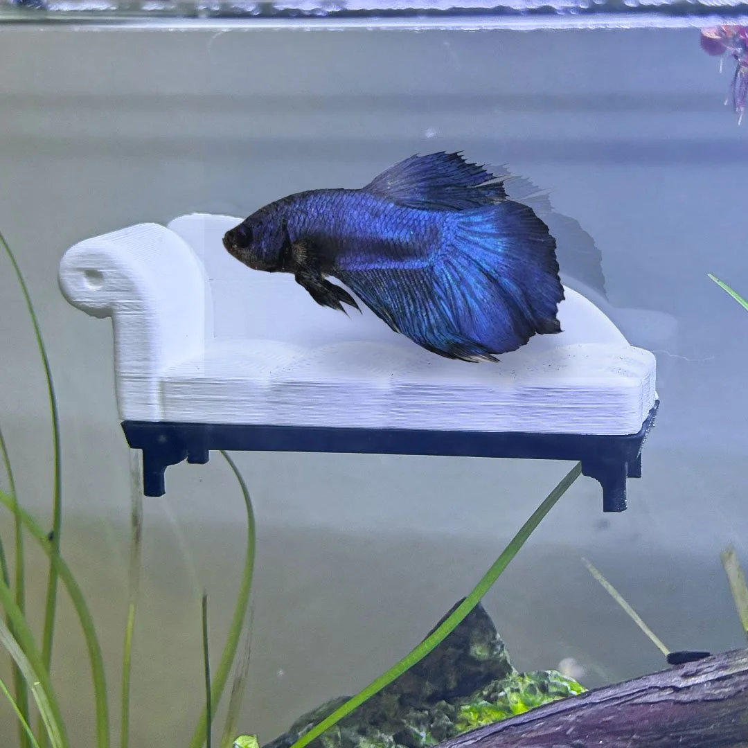 magnetsofa_1.jpg