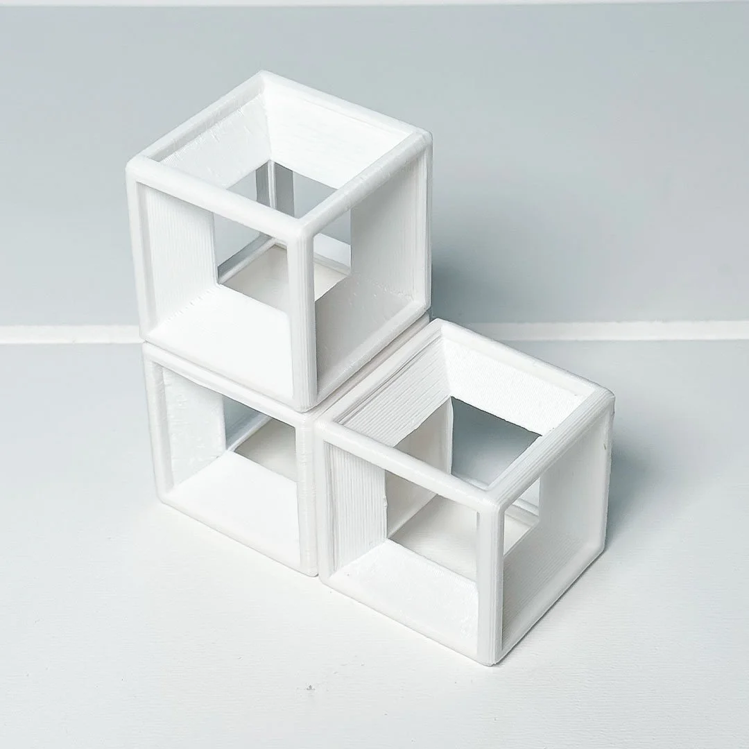 shrimpcubes_7.jpg