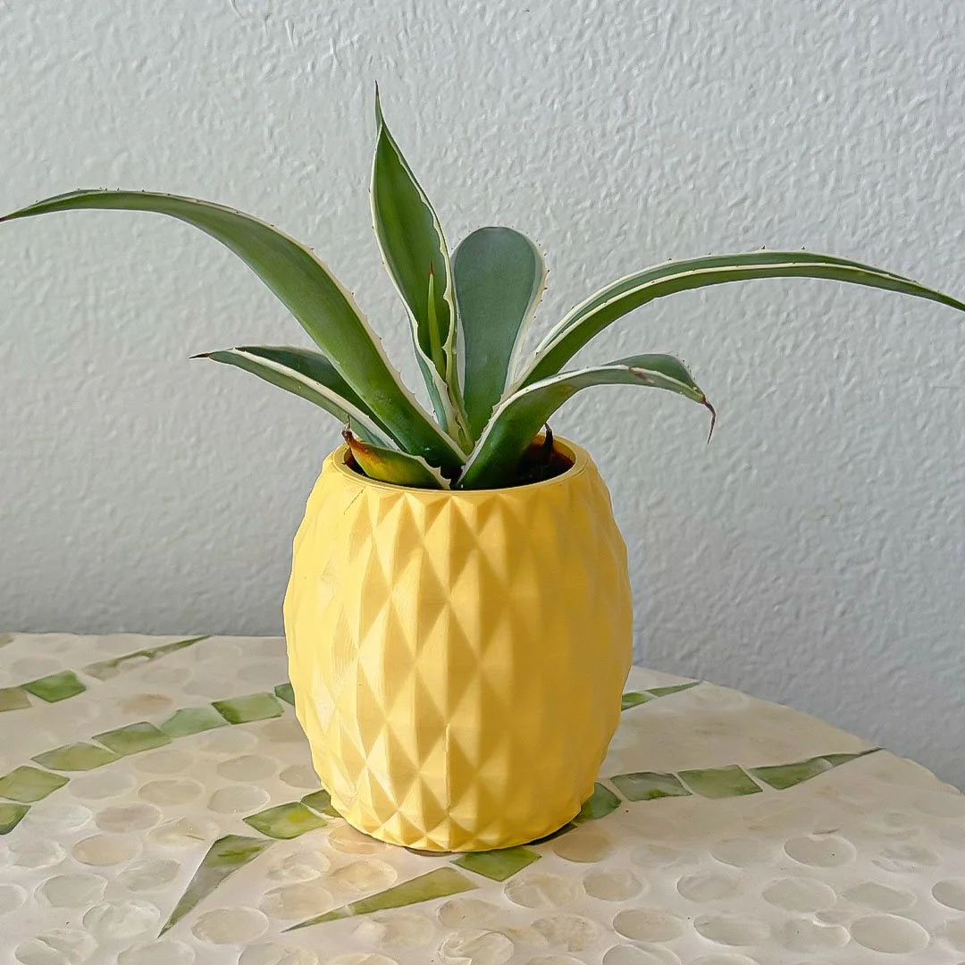 pineapple_1.jpg