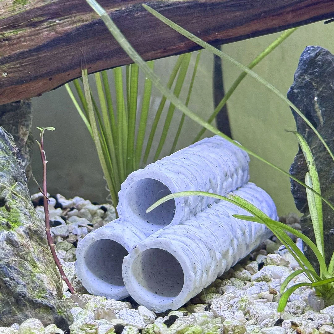 shrimptubes_4.jpg