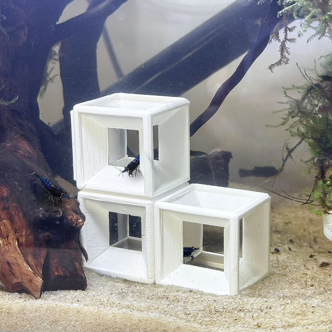 shrimpcubes_1.jpg