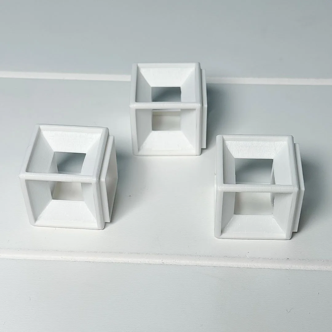 shrimpcubes_4.jpg