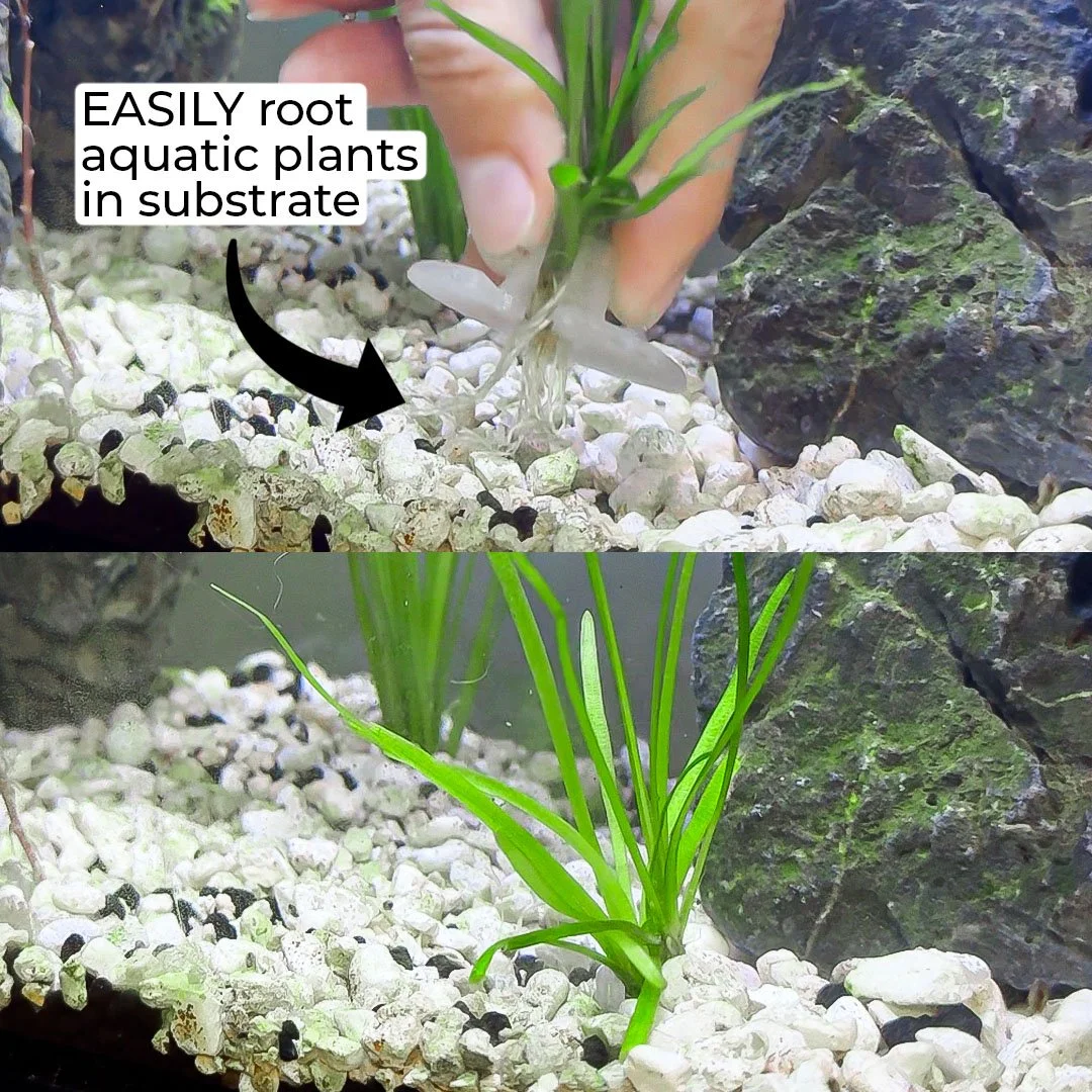 plantplugs_3.jpg