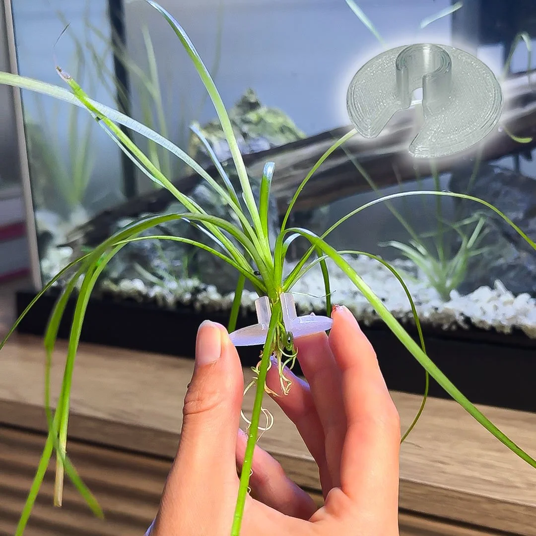 plantplugs_1.jpg