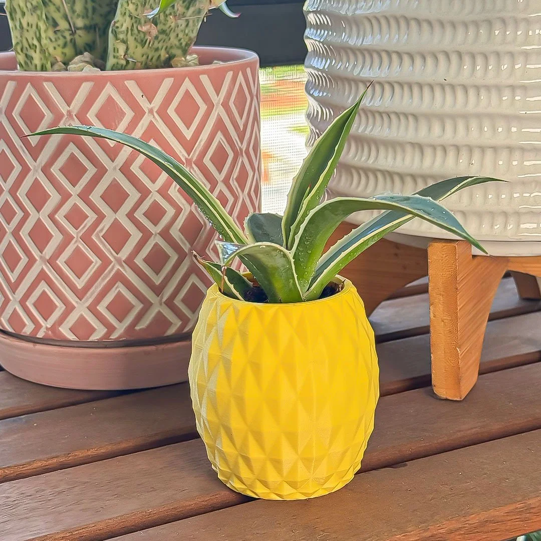 pineapple_2.jpg