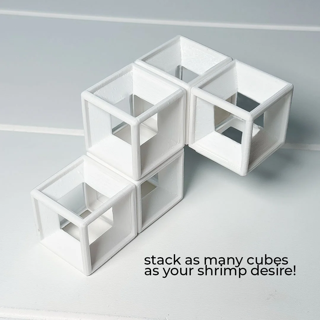 shrimpcubes_6.jpg