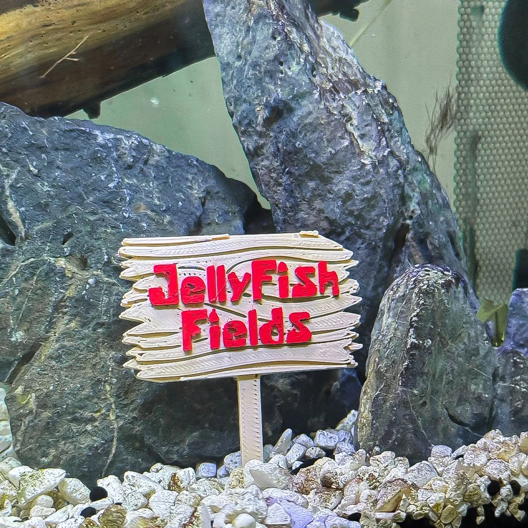 spongesign_2.jpg