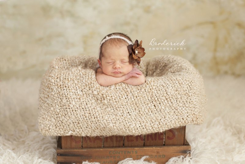 Newborn Photography in Will County, Illinois | What to Expect + How to Prepare for Your Baby’s First Photos