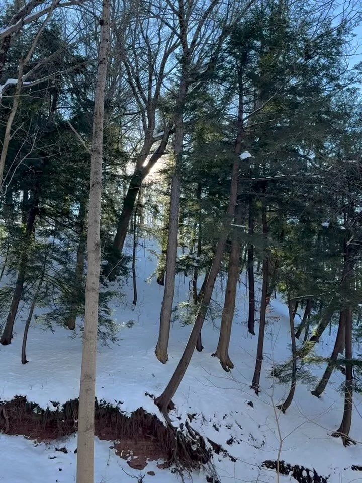 a solute to winter ❄️ 

creating feels closest to my heart in the winter months. the days are short, cold, dark and often brutal. through creating, i find a new lense that allows me to take in my surroundings from a perspective of hope. to find seren