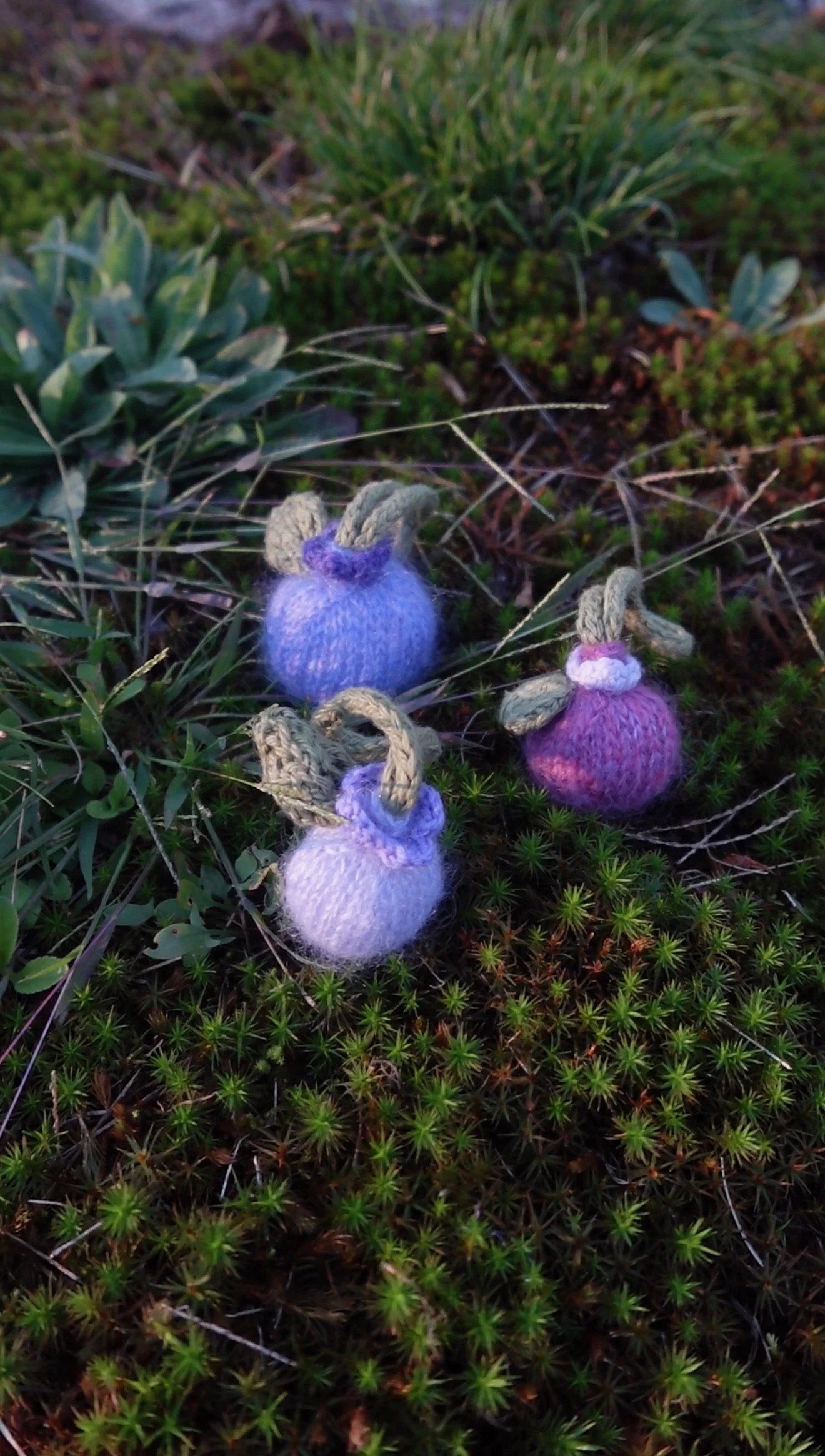Baby Blueberry Keychain Pattern - English