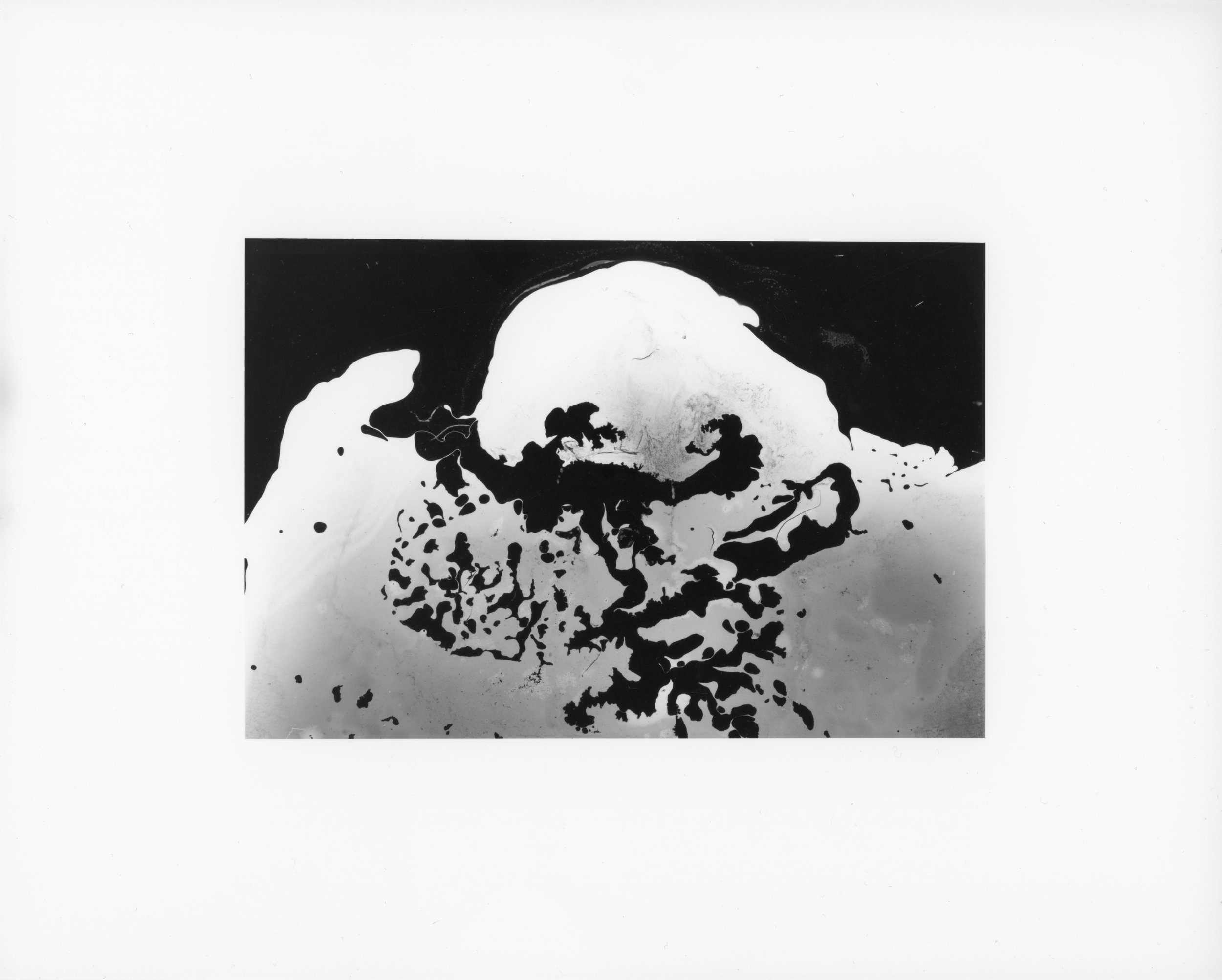 Untitled, 2025 (P01)