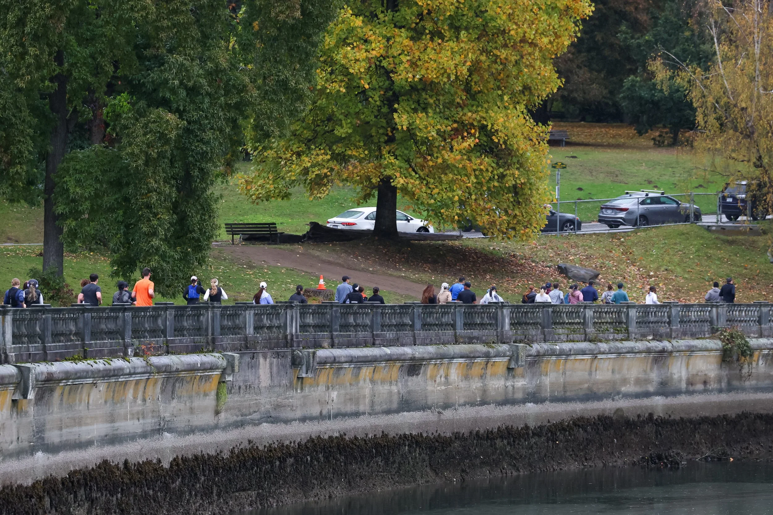 A group of people walking along a sidewalk next to a river, with trees showing fall foliage and parked cars in the background.