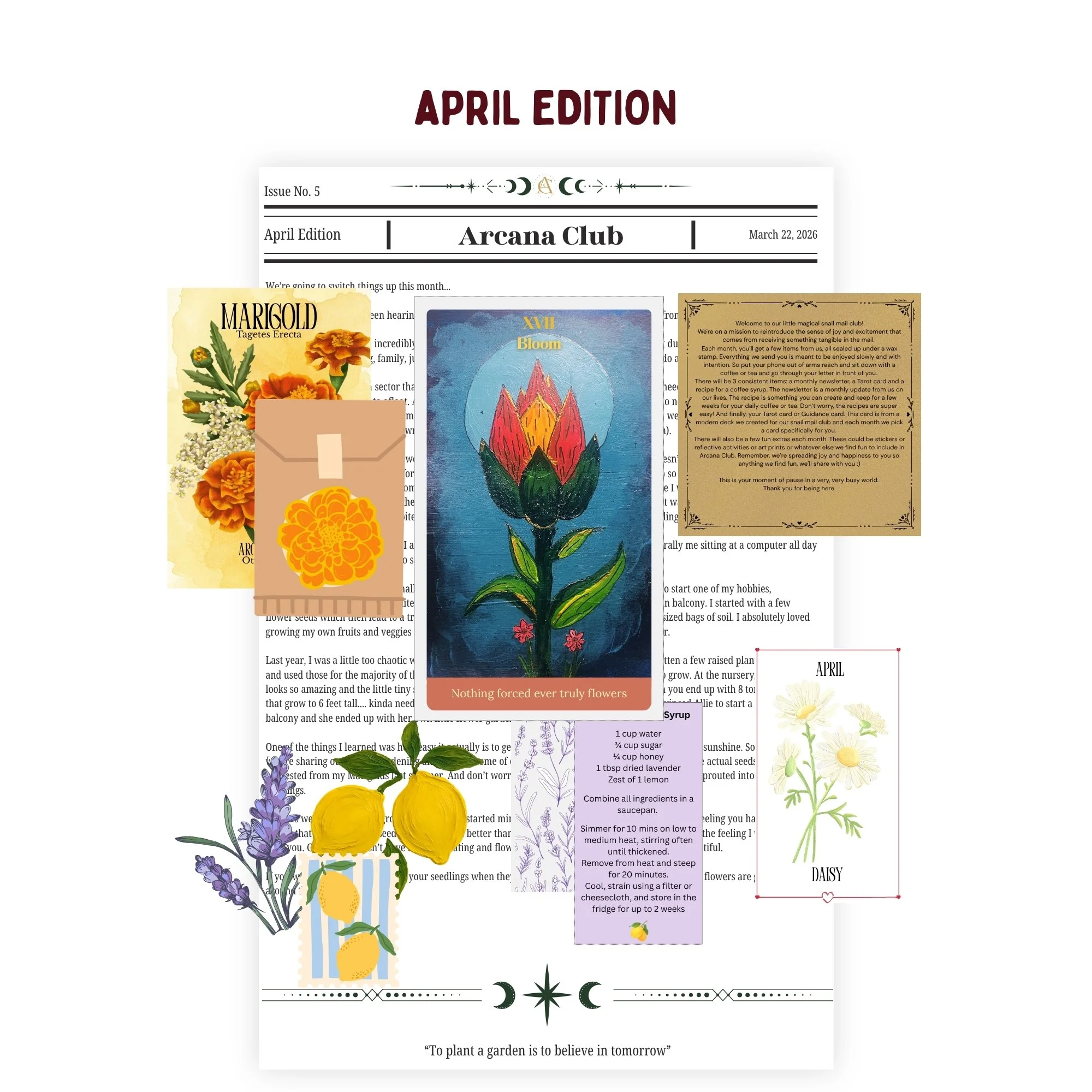 Product images (3).jpg