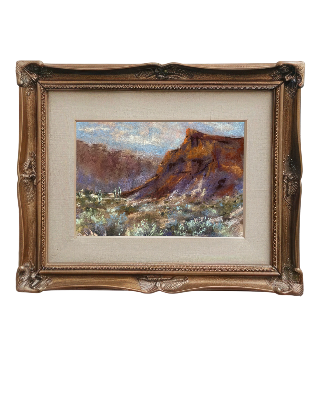 A Day in the Desert
