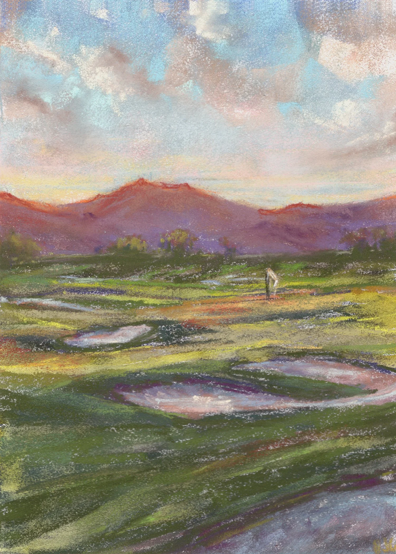 TPC Scottsdale No. 1