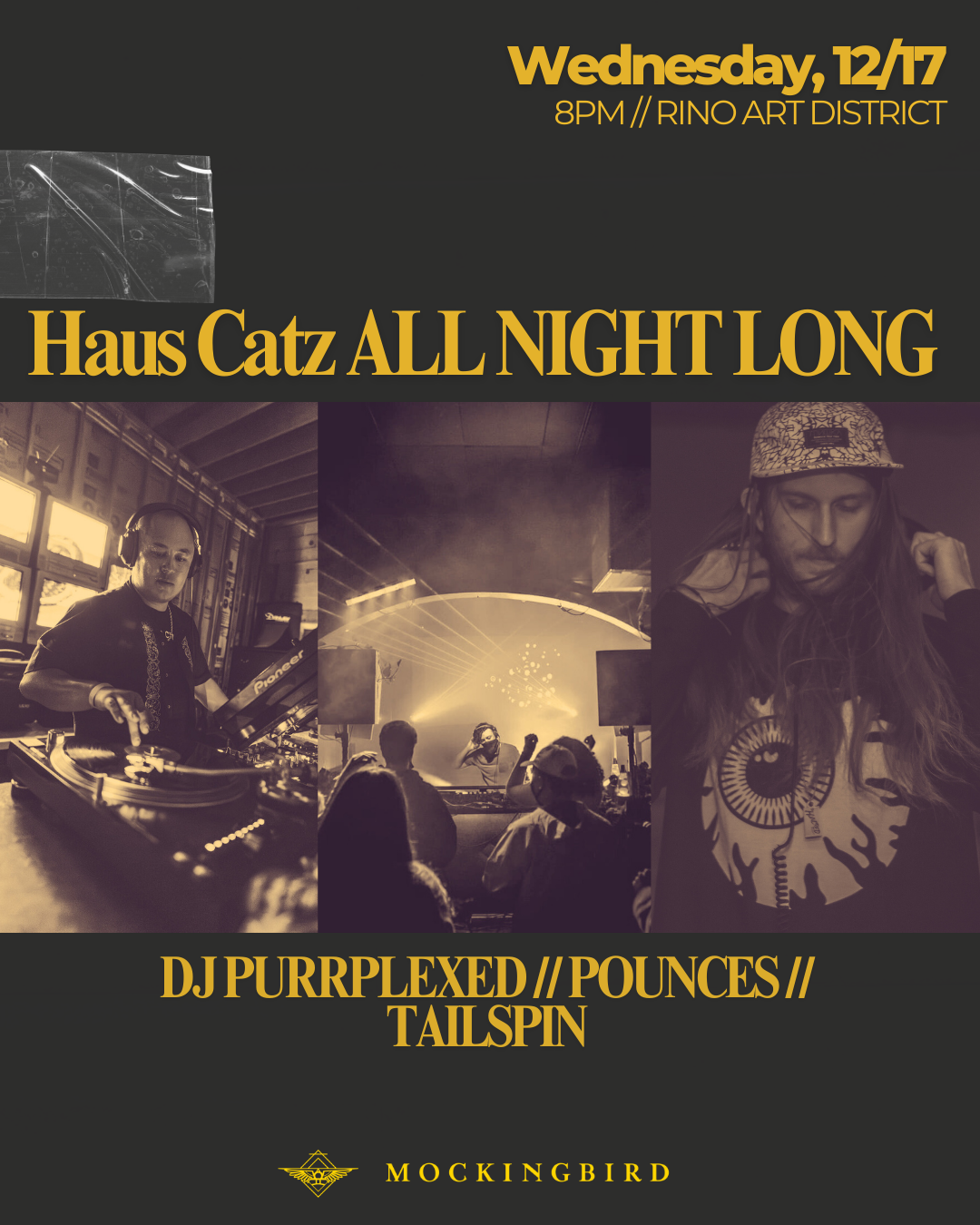 Haus Catz All Night Long
