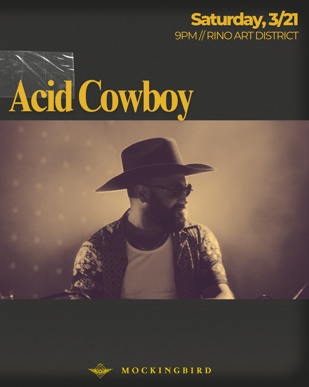 Acid Cowboy