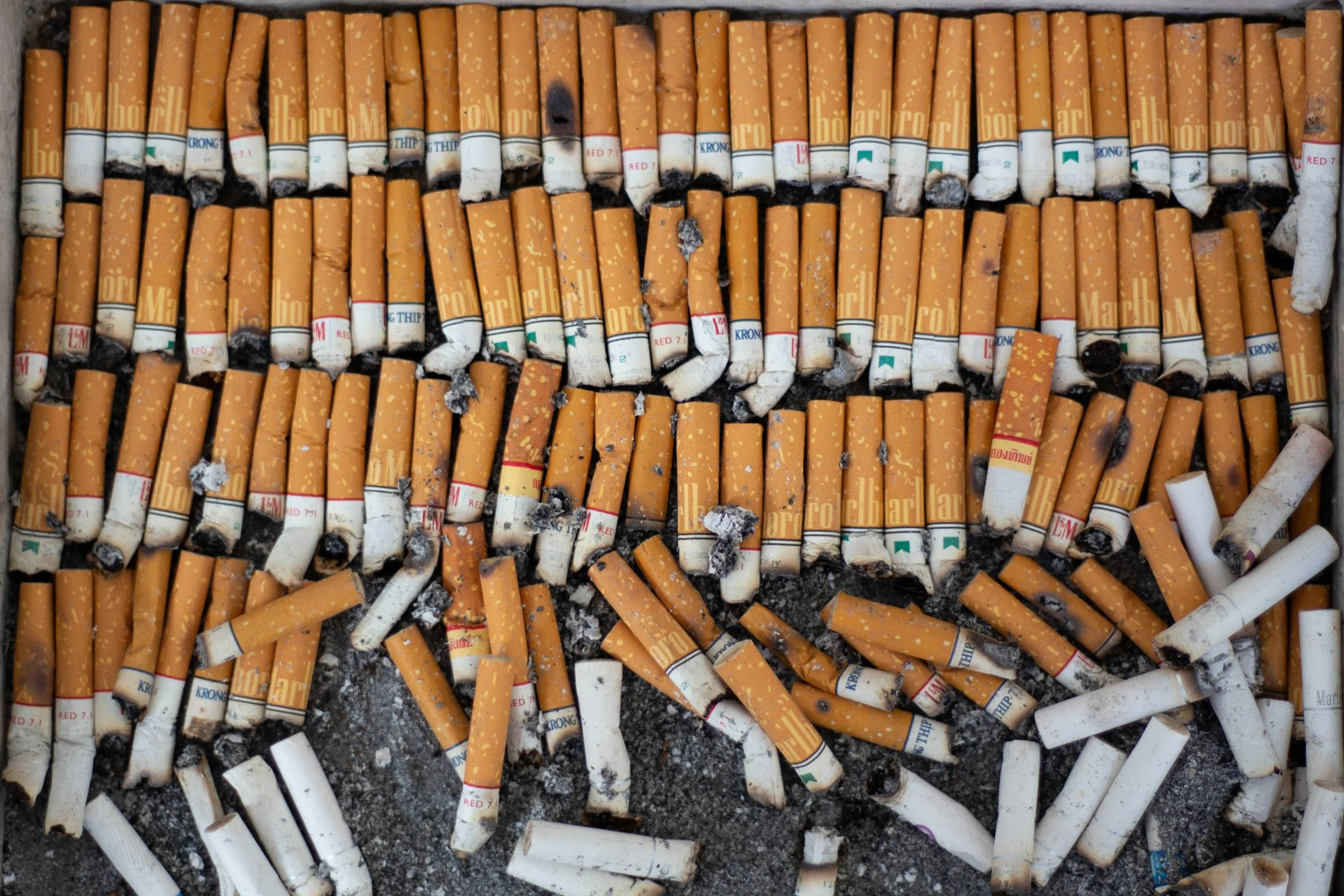 World No Tobacco Day 2024: Breaking Free from the Grip of Tobacco