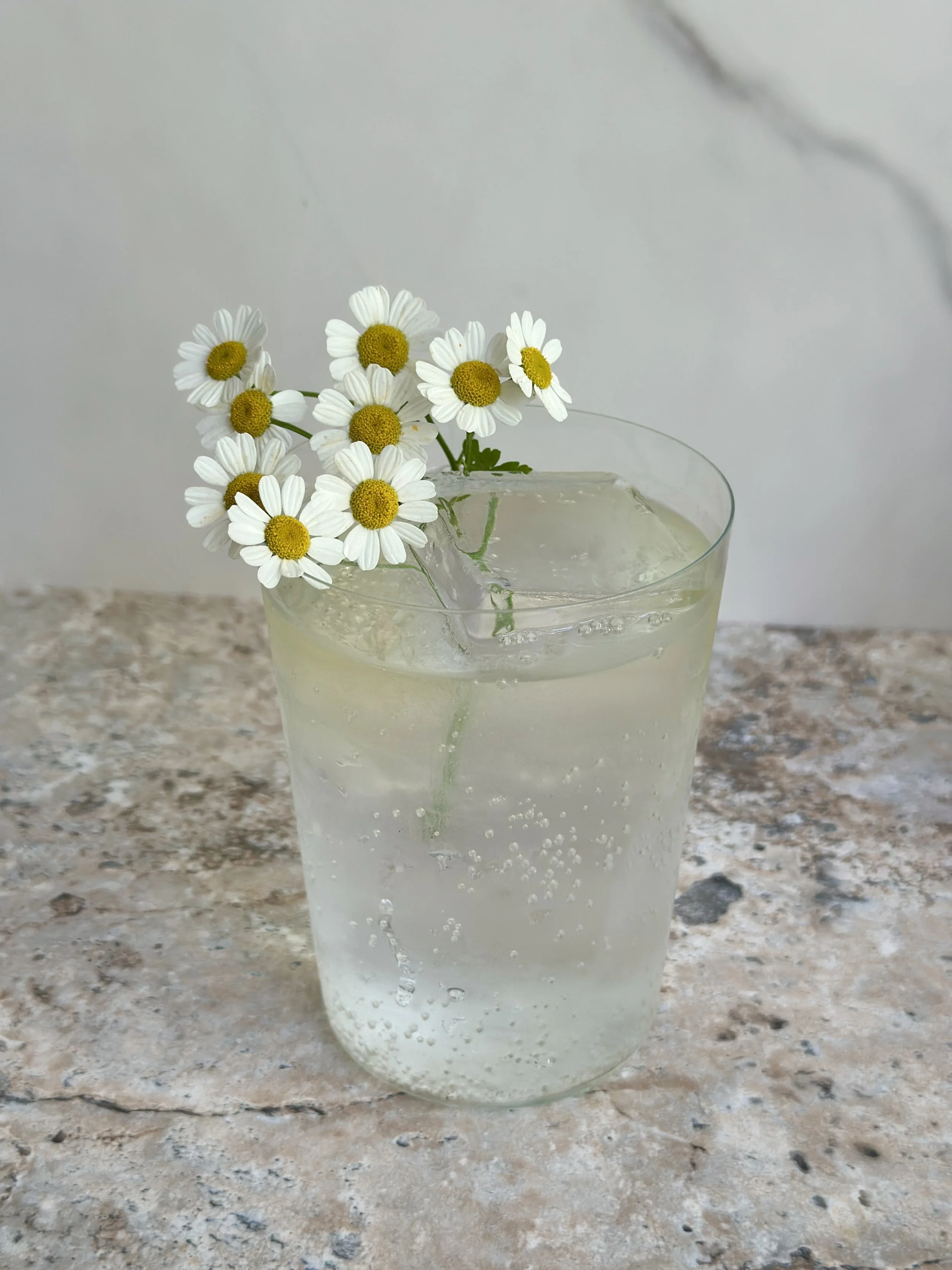 Chamomile Gin &amp; Tonic