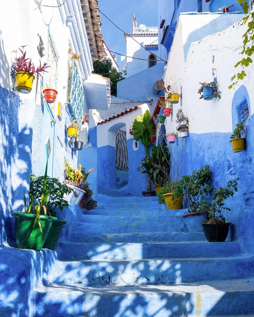 Marrakech gets all the attention, and it earns it. But the Morocco our clients rave about most starts once you leave the city.

Fes holds the world's largest car-free urban area, a medieval medina where coppersmiths, weavers, and tanneries still work