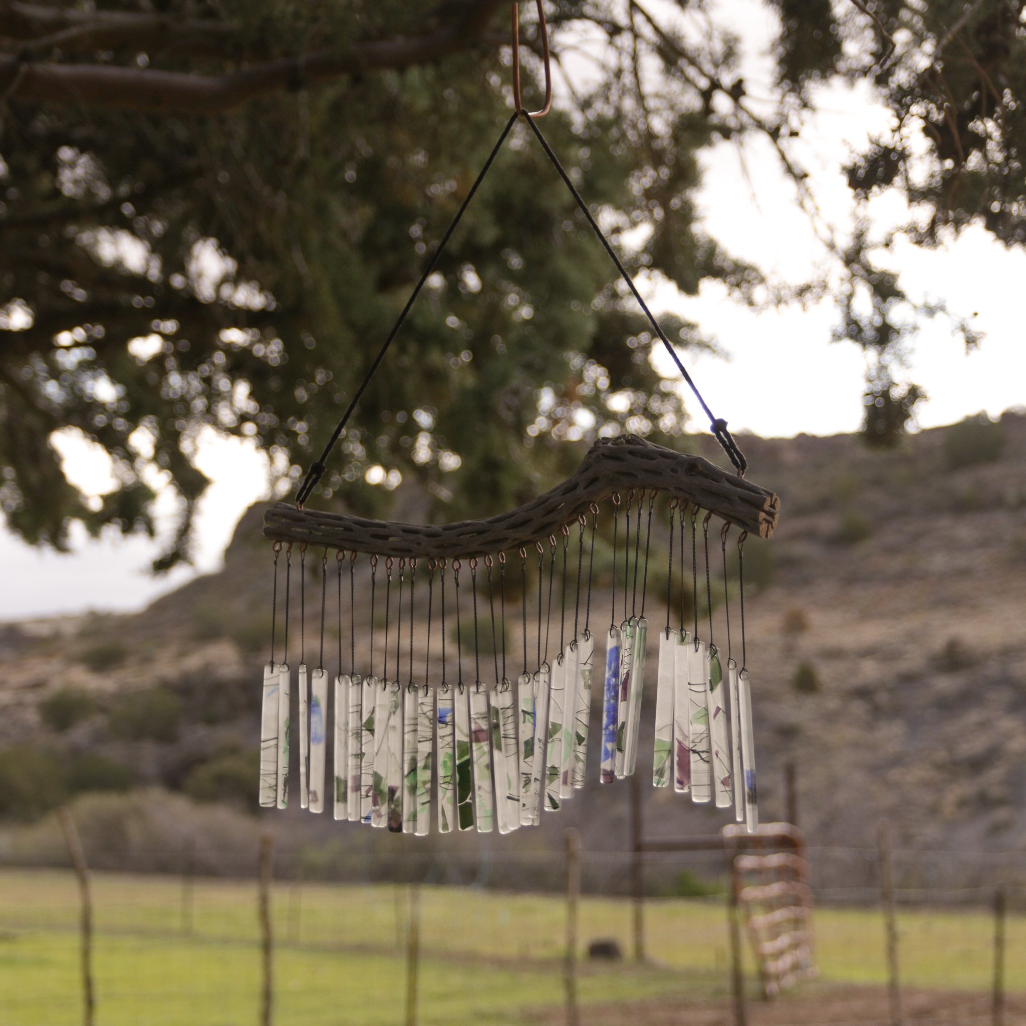 Cholla Chime No. 025