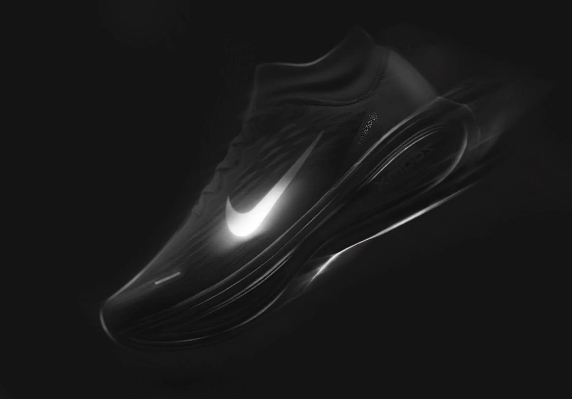 Nike GORE-TEX Vomero Plus