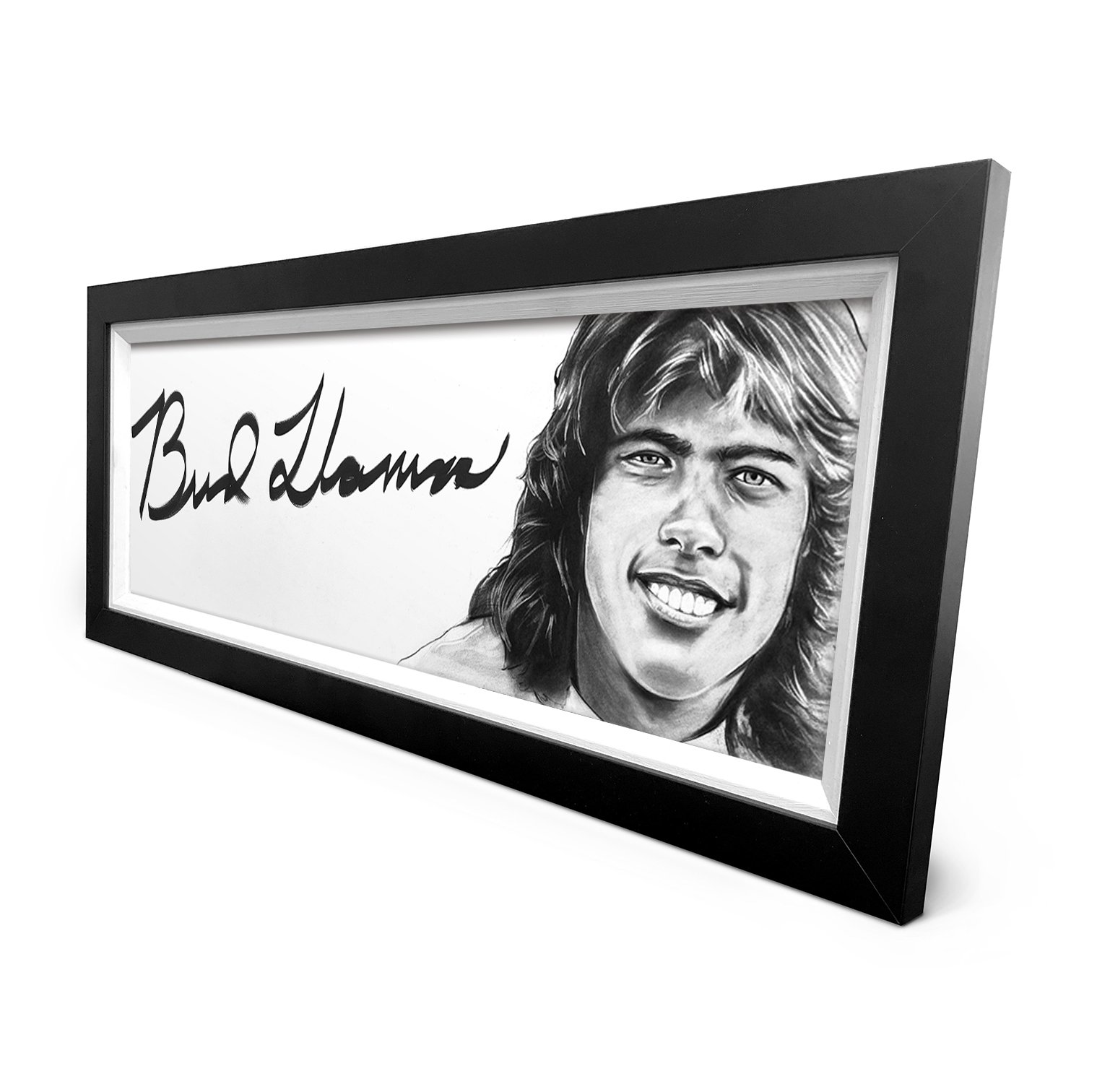 Bud Llamas Frame 2.jpg
