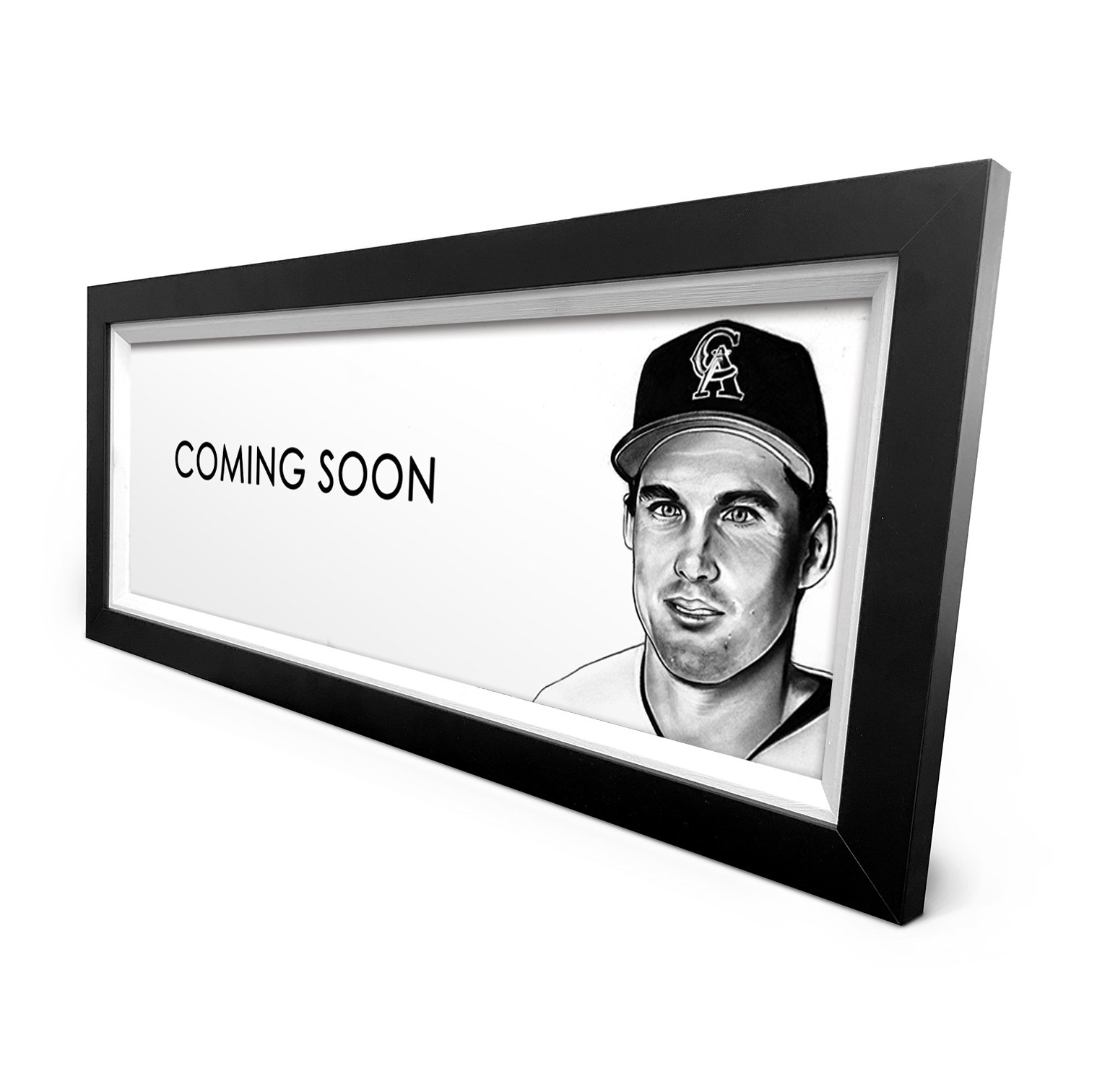 Tim Salmon Frame 2.jpg