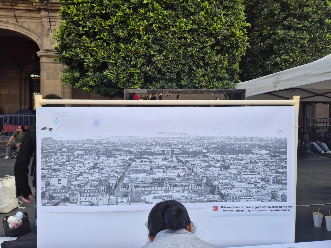 WhatsApp Image 2025-11-28 at 17.07.54.jpeg