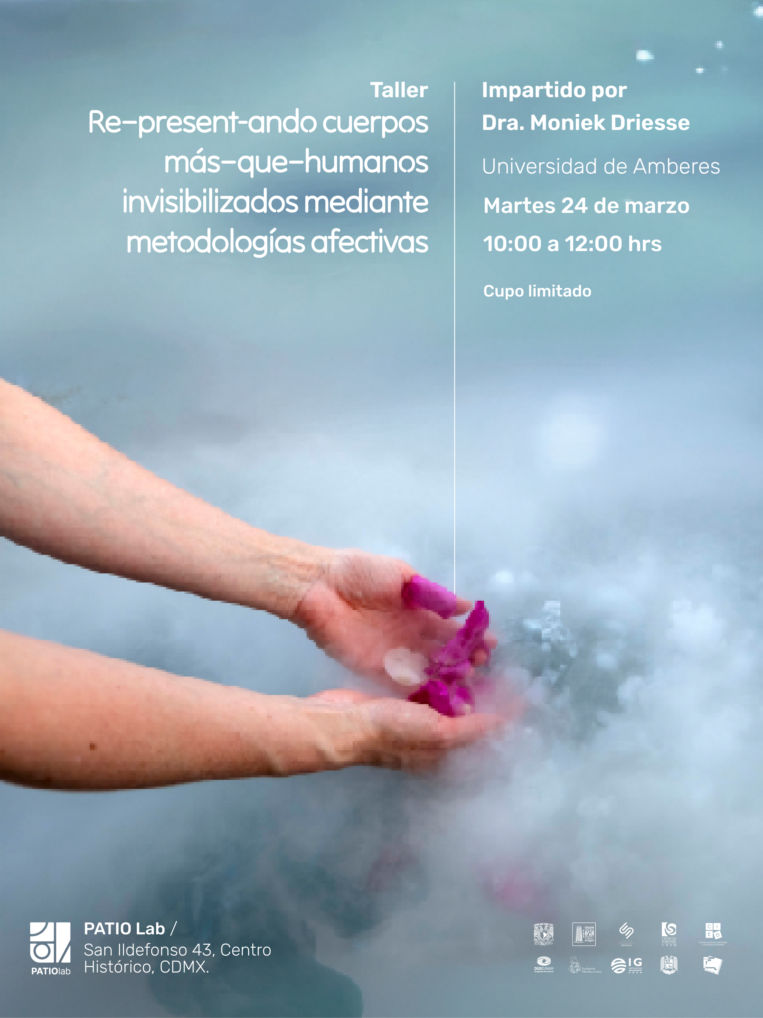 BASE IGG COMUNICACIONES REDES-11.png