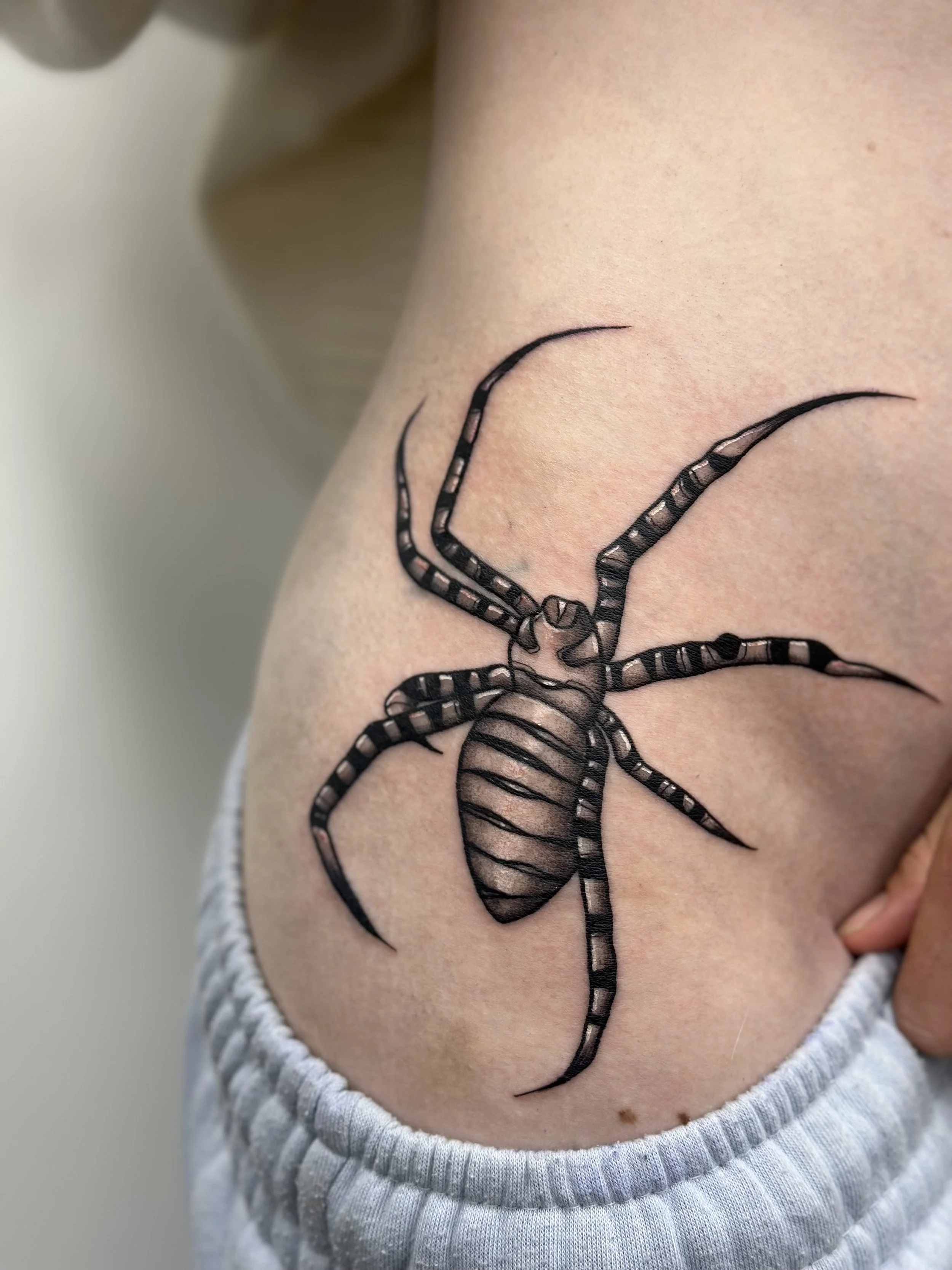 Black and gray tattoo of a spider with striped legs on person's side.