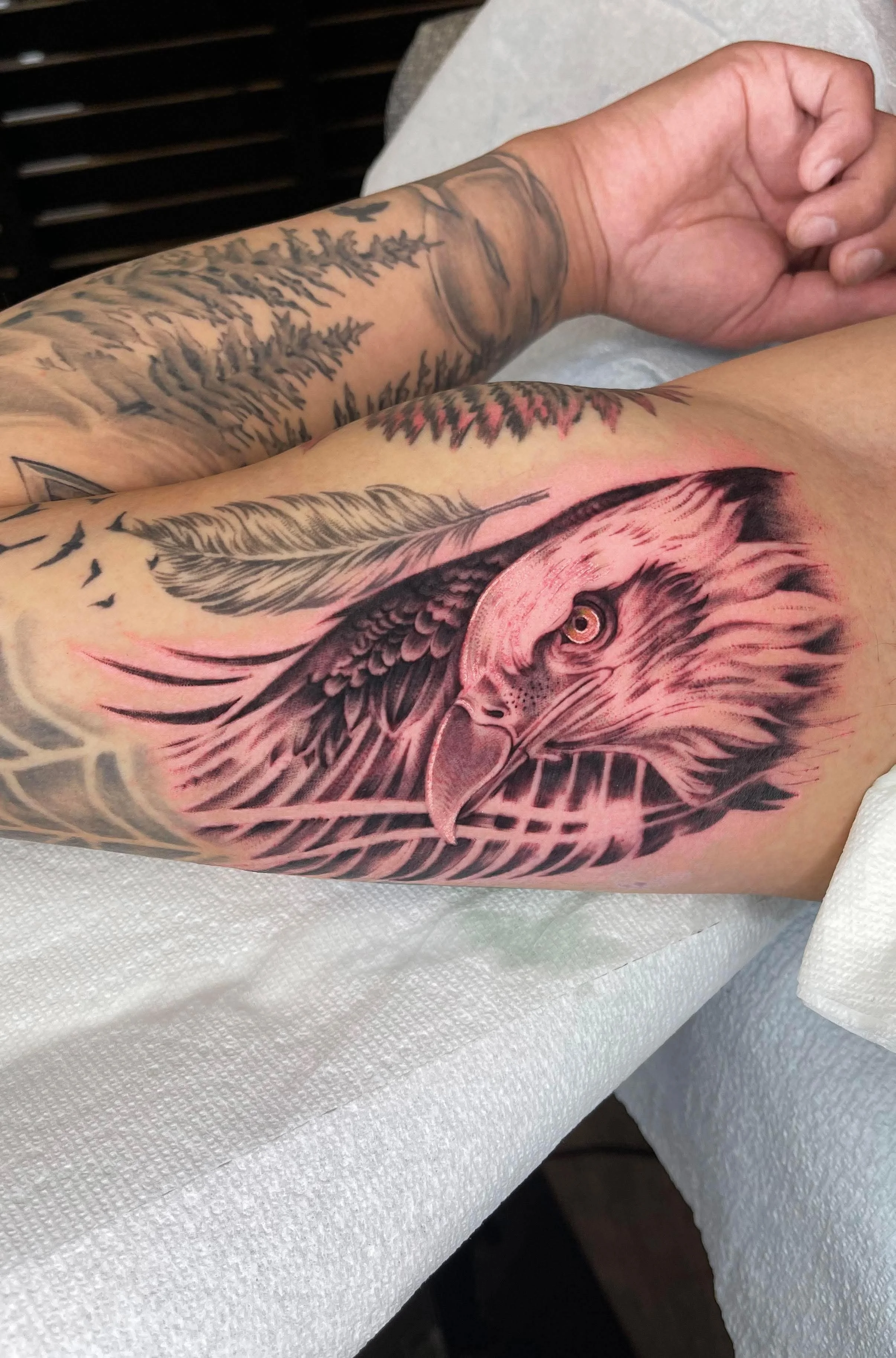 Colorful tattoo of an eagle's head on a person's arm, with detailed feathers and intense eye, surrounded by additional ink designs.