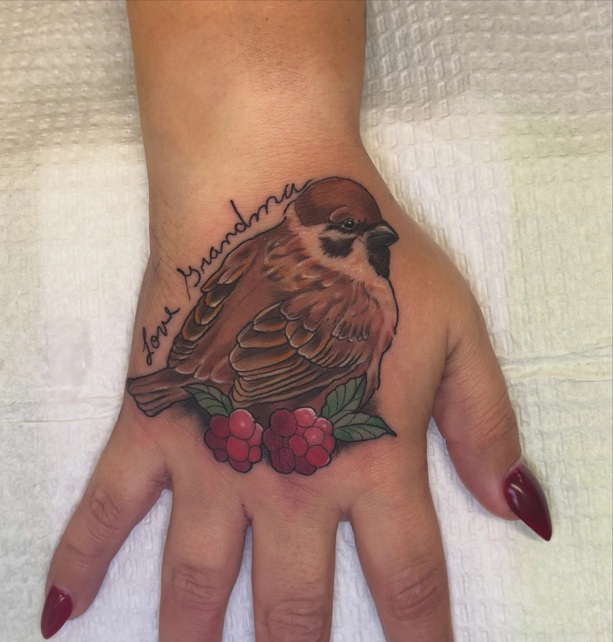 Super cute little bird- neo traditional