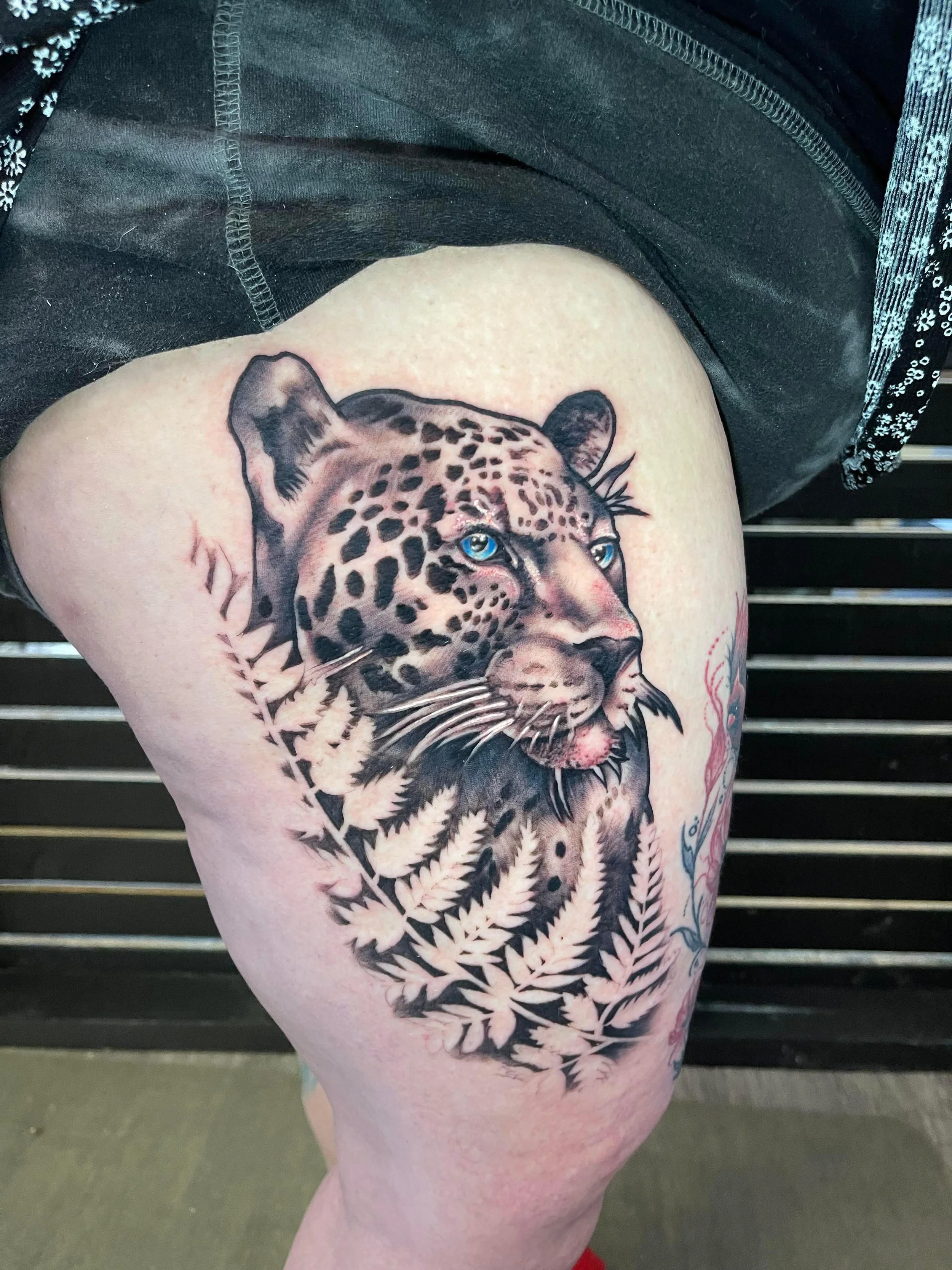 Tattoo of a leopard's face with blue eyes, surrounded by black and white fern leaves, on a person's upper thigh.