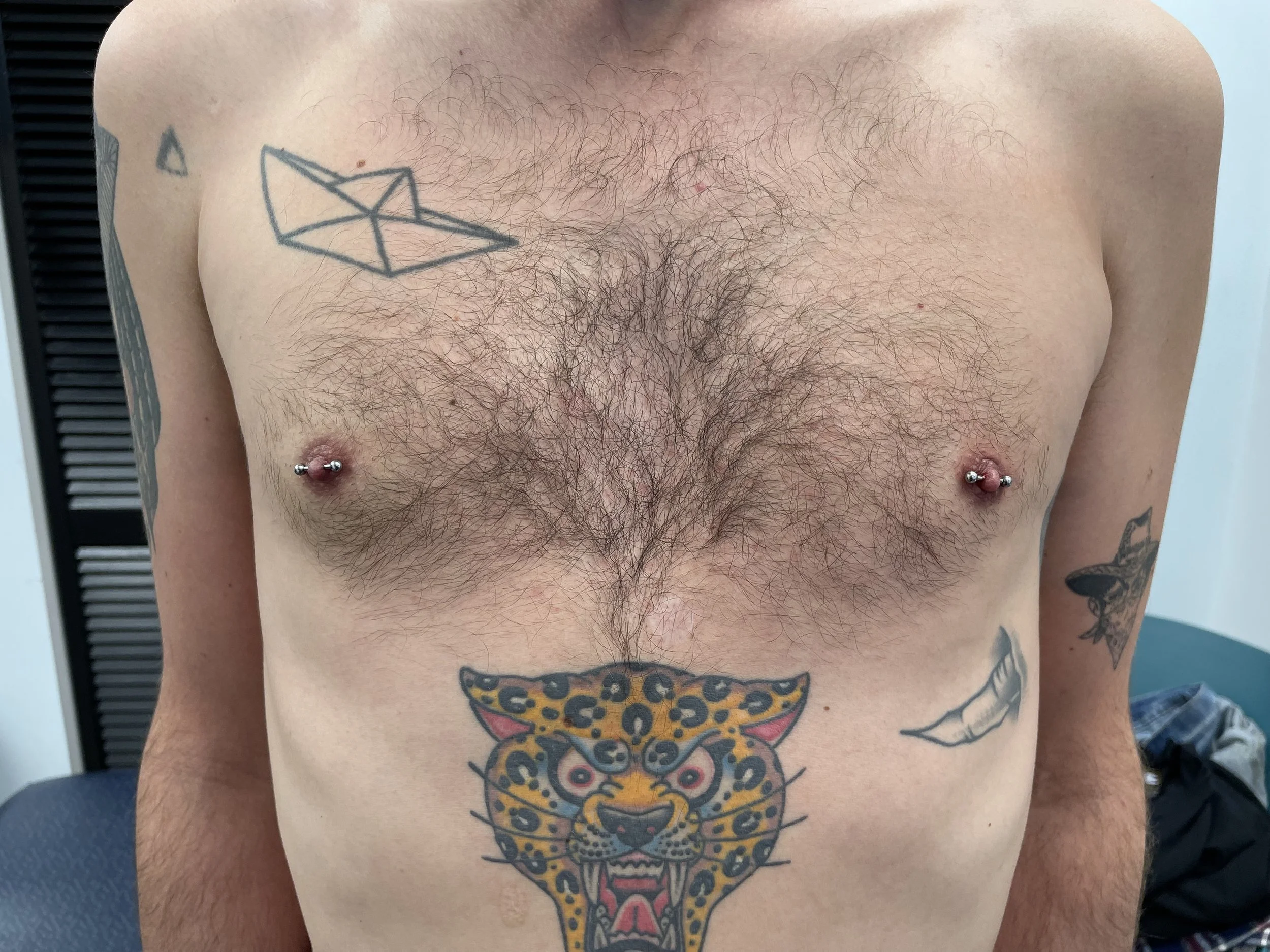 Close-up of a man's chest with tattoos, including a large panther head on the lower chest and various smaller tattoos on the shoulders and arms. The man has body hair, nipple piercings, and is in a room with a blue wall and a black and white chair.