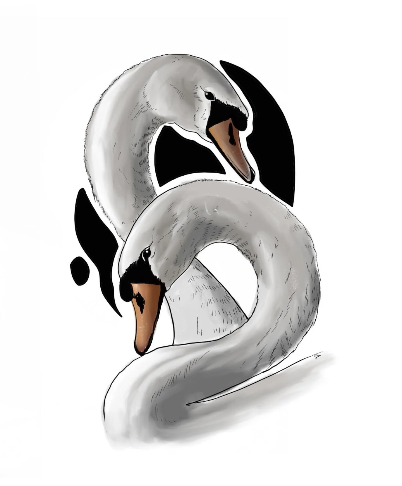 Digital illustration of two swans with curved necks, one on top of the other, creating a symmetrical composition with black abstract shapes in the background.