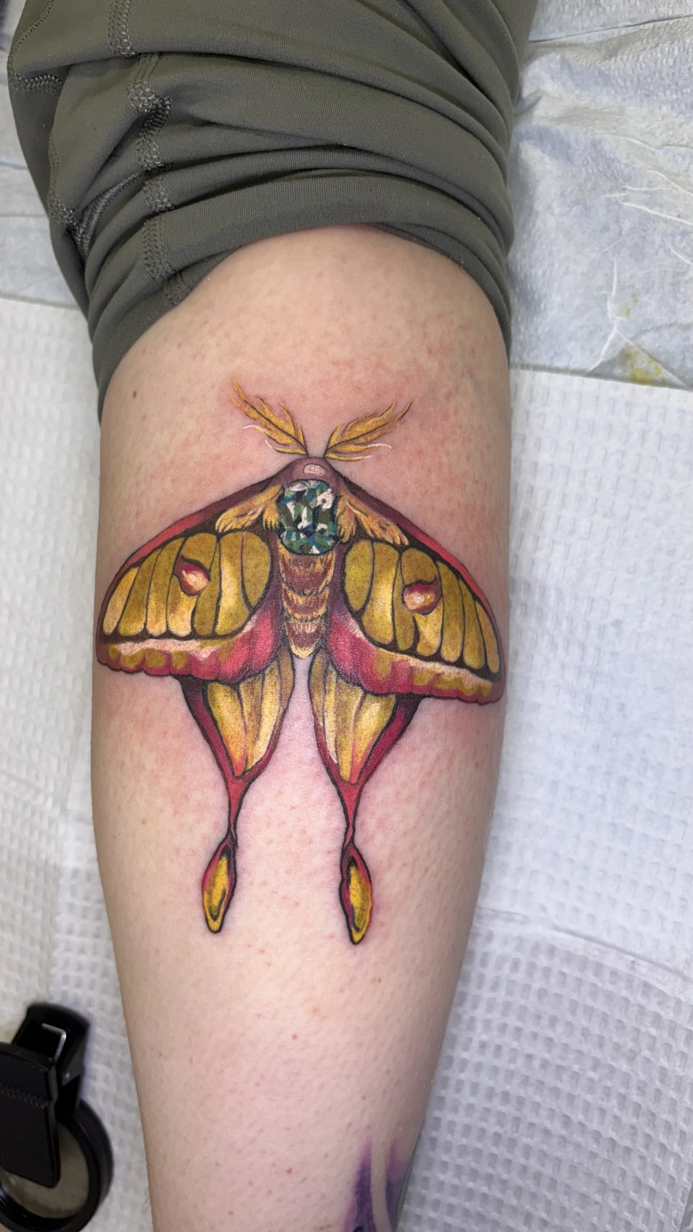 Colorful tattoo of a mixture of a moth and a butterfly on someone's thigh.