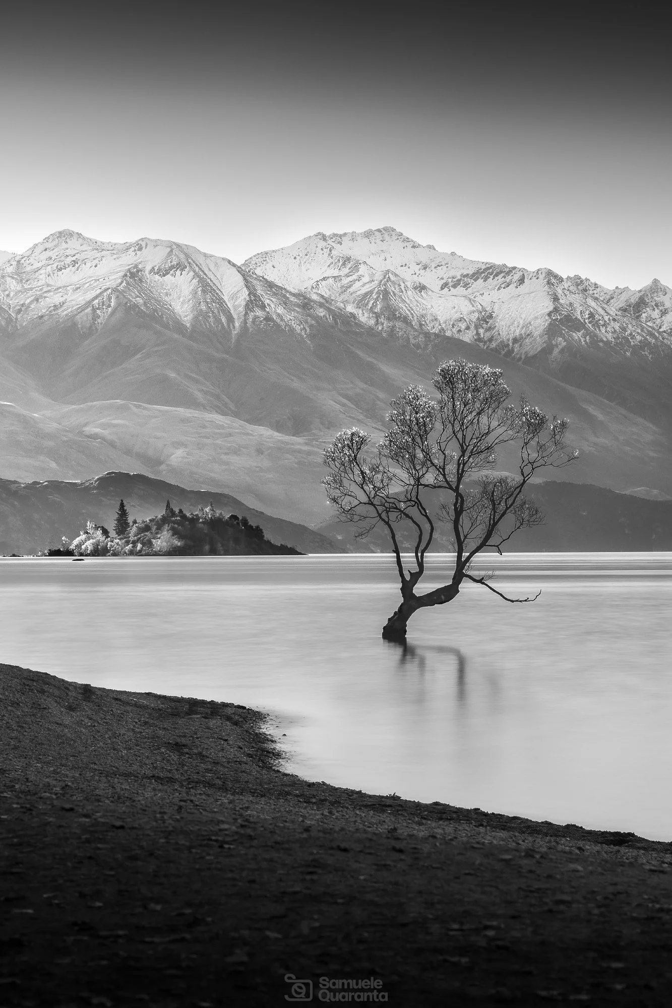 Black and white long exposure of famous Wanaka tree in New Zealand - Samuele Quaranta 