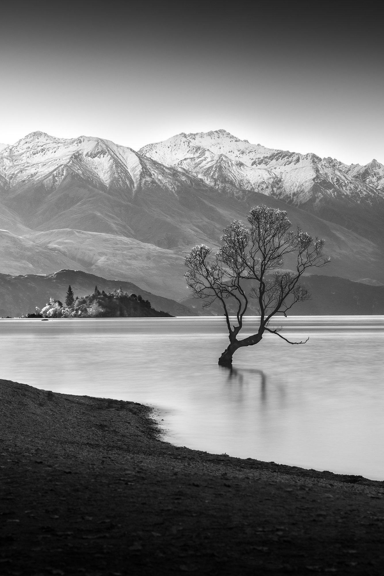 Samuele Quaranta - Landscape Photographer - Wanaka Tree.jpg