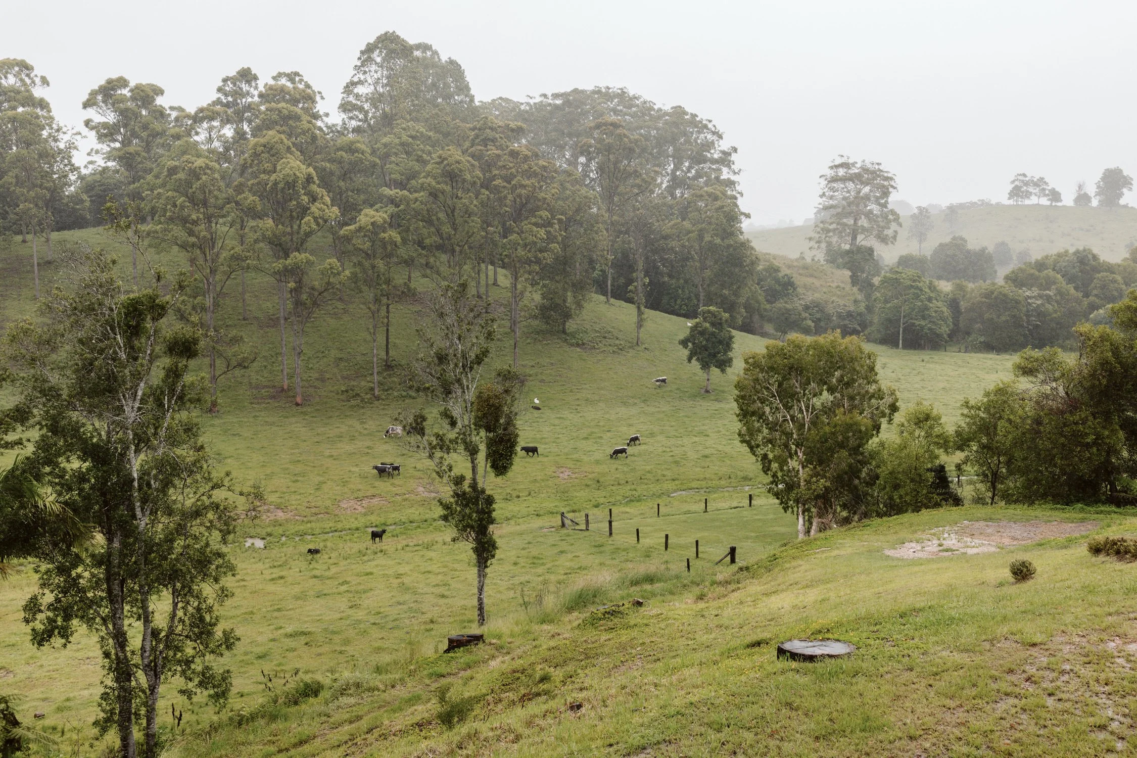 Gold Coast Wedding Photographer Nikolas David Bellingdale Farm Venue-9.jpg