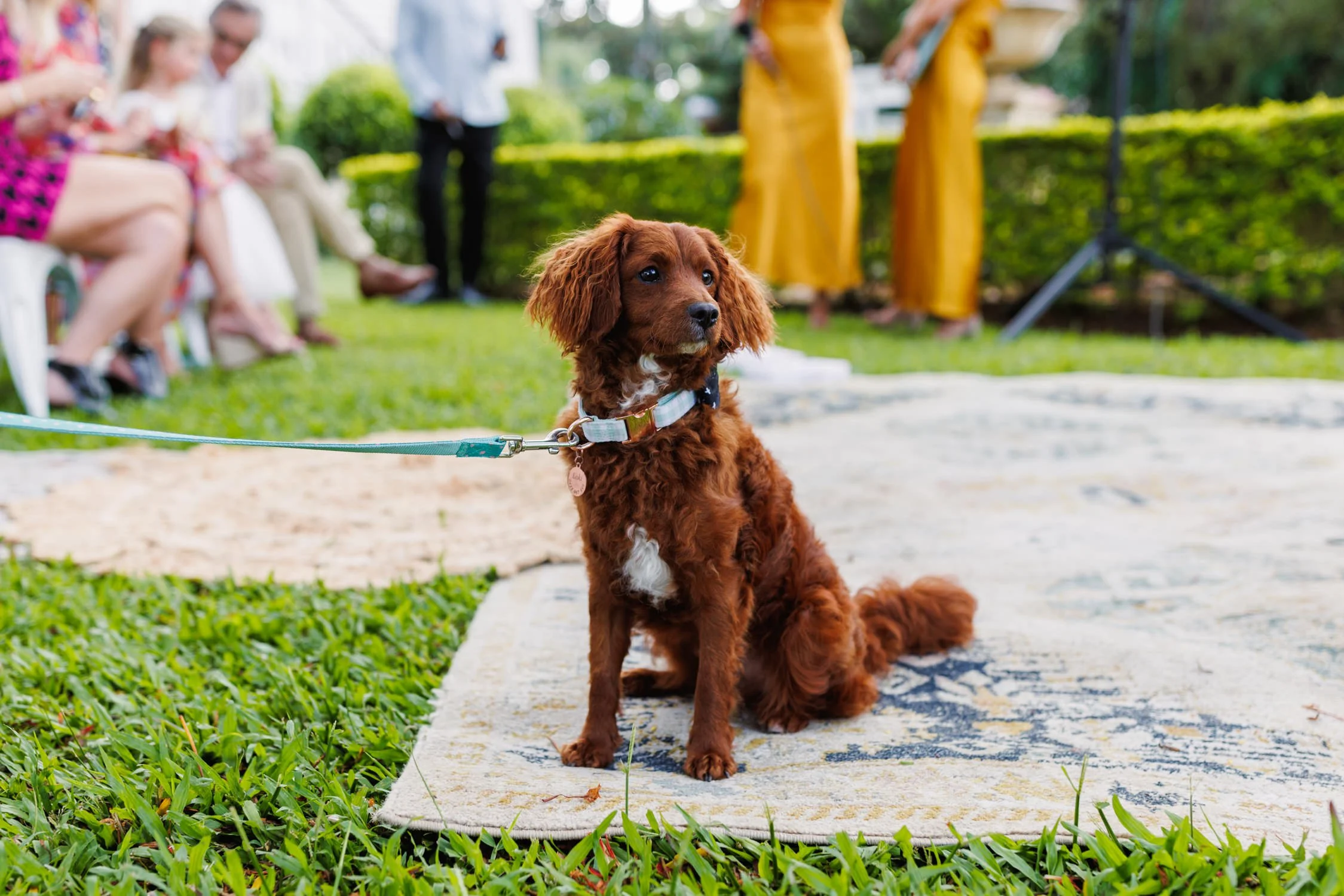Gold Coast Wedding Photographer Nikolas David -24.jpg